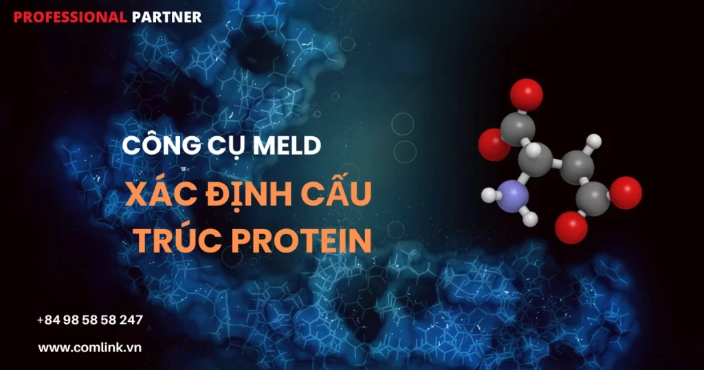 Công cụ Meld xác định cấu trúc Protein