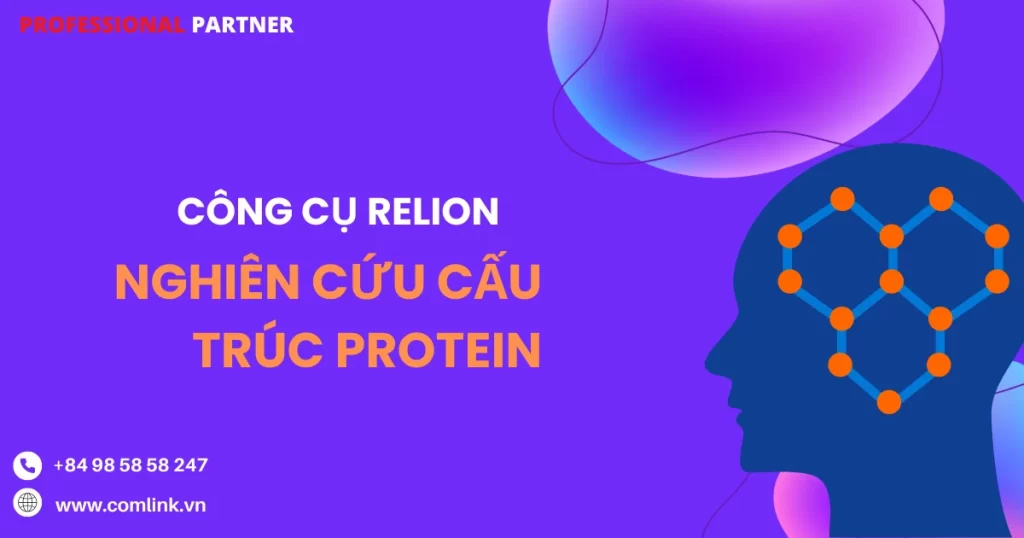 Công cụ Relion nghiên cứu cấu trúc protein
